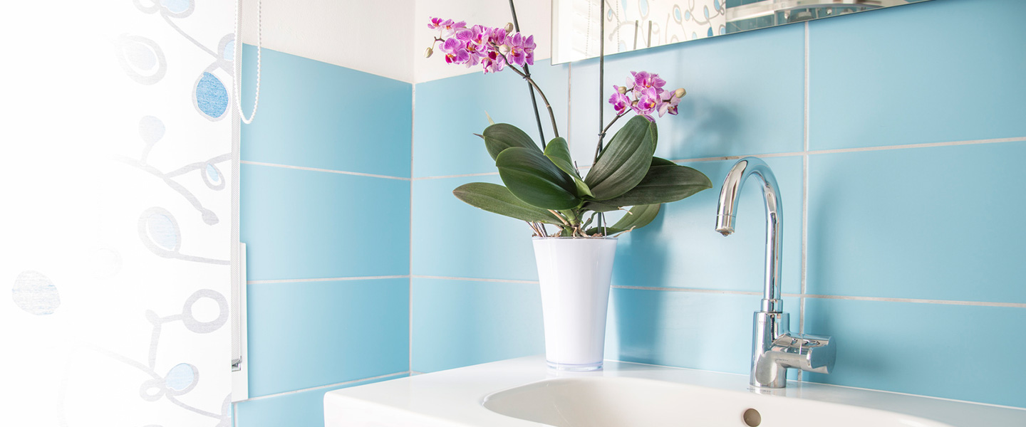 Ideas para decorar el baño