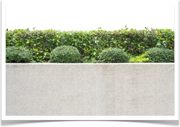 muro