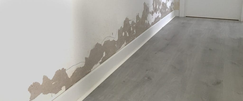 Cómo pintar una pared con humedad - Te enseñamos paso a paso a dejarla como  nueva