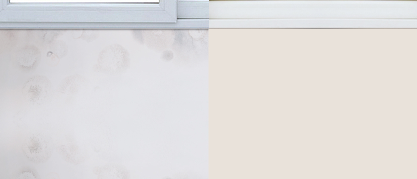 Adiós a los mohos con Lisomat Anticondensación