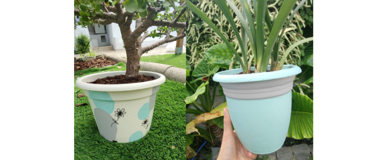 Decoración de maceteros con Todo Terreno